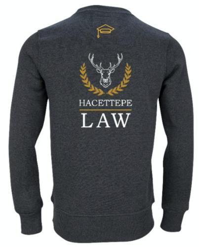 Hacettepe Üniversitesi Hukuk Fakültesi Model 3